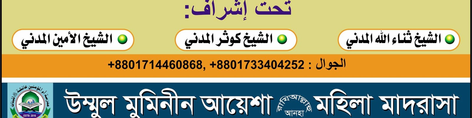 Profile image example