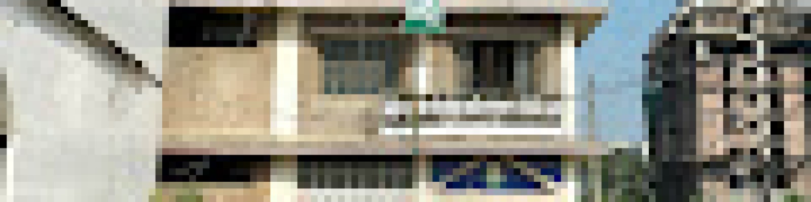 Profile image example